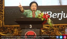 Warning Bu Mega untuk Kader PDIP Pengguna Medsos - JPNN.com