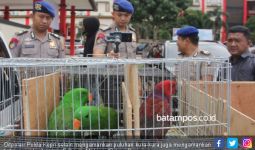 Polda Kepri Gagalkan Penyeludupan Hewan Langka dari Maluku - JPNN.com