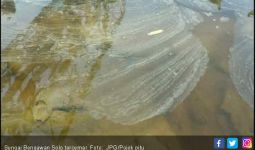 Warga Protes Sungai Bengawan Solo Tercemar - JPNN.com