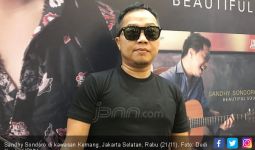 Sandhy Sondoro: Yang Penting Enggak Pakai Fitnah - JPNN.com