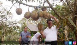 Dengan Kebijakan Mentan Amran, Durian Kini Surplus 733 Ton - JPNN.com