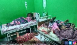 Warga Aceh Barat Terserang Malaria Monyet - JPNN.com