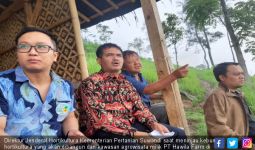 Kementan Dorong Pembangunan Kawasan Agrowisata Hortikultura - JPNN.com