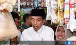 Jokowi Beri Listrik Gratis untuk Keluarga Tak Mampu di Bogor - JPNN.com