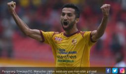 Kemenangan Sriwijaya FC di Kanjuruhan Menjadi Harga Mati - JPNN.com