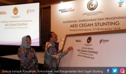 Sinkronisasi Kebijakan Penting untuk Atasi Stunting - JPNN.com