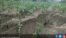 Hujan Deras Akibatkan Lahan Pertanian Longsor - JPNN.com