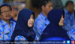 Inilah Jenis Jabatan yang Bisa Diisi PPPK - JPNN.com