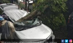Video Detik - Detik Puting Beliung di Kota Bogor - JPNN.com