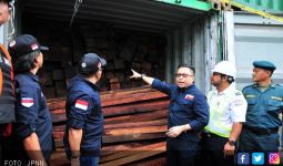 SPIL Dukung Pengungkapan Kayu Merbau Ilegal - JPNN.com