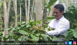 Kementan Siapkan Lima Strategi Bikin Perkebunan Indonesia Jadi Primadona di Pasar Ekspor - JPNN.com