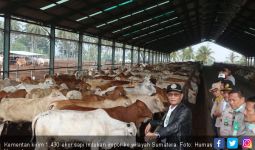 Kementan Salurkan 1.430 Ekor Sapi Indukan ke Daerah Sumatera - JPNN.com