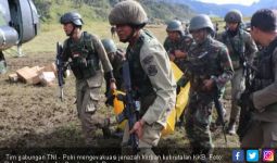 Selama 2018 TNI - Polri Sudah Tangkap 22 Anggota KKB - JPNN.com