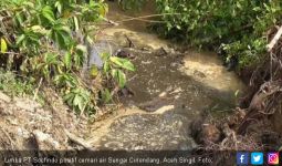 Limbah Socfindo Positif Cemari Air Sungai Cinendang - JPNN.com