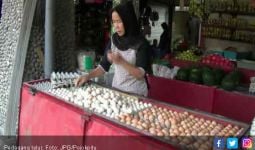 Warga Tak Perlu Khawatir Isu Telur Ayam Terpapar Limbah Plastik - JPNN.com