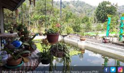 Cantiknya Batur Organic Park di Antara Tambang Galian C - JPNN.com