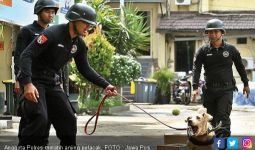 Anjing Pelacak Bakal Dilatih Endus Miras - JPNN.com
