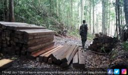Justru Warga Malaysia yang Coba Suap Pasukan TNI - JPNN.com