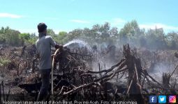 Kebakaran Lahan Gambut di Aceh Barat Makin Meluas - JPNN.com