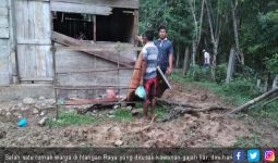 Kawanan Gajah Liar Obrak-abrik Tiga Rumah Warga Nagan Raya - JPNN.com