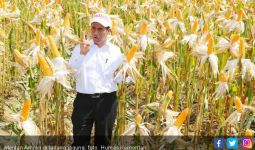 Menteri Amran: Stok Beras Cukup untuk Delapan Bulan ke Depan - JPNN.com