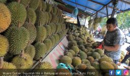 Silakan Nikmati, Percayalah Semua Ini Durian Jatuh, Haahaa.. - JPNN.com