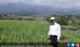 Mentan Amran Lepas Ekspor Ribuan Ton Tepung Kelapa dari Gorontalo - JPNN.com