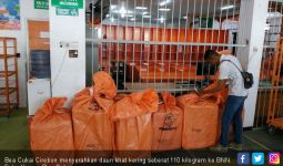 Bea Cukai Cirebon Serahkan Paket Berisi Daun Khat ke BNN - JPNN.com