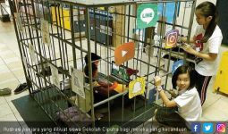 Ilustrasi Penjara Bagi Mereka yang Kecanduan Medsos - JPNN.com