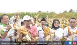 Petani Mulai Panen Jagung, Mentan: Pemerintah Siap Serap - JPNN.com