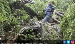 Waspada, Dua Hari ke Depan Masih Berpotensi Hujan Angin - JPNN.com