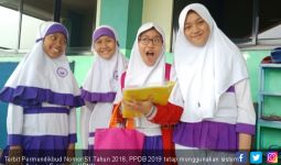 PPDB 2019 Sistem Zonasi di Jakarta tak Berdasar Jarak Rumah ke Sekolah - JPNN.com