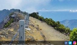 Jalur Pendakian Gunung Gede Pangrango Ditutup Untuk Umum - JPNN.com