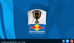 Perkiraan Susunan Pemain Persib vs Persiwa di Piala Indonesia - JPNN.com