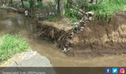 Sungai Meluap, 20 Hektar Sawah Rusak Berat - JPNN.com