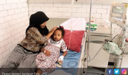Waspada, Sudah 49 Warga Menderita Demam Berdarah - JPNN.com