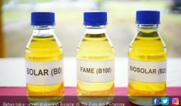 Gaikindo: Asosiasi Jepang Datang ke Indonesia untuk Pelajari Biodiesel B35 - JPNN.com