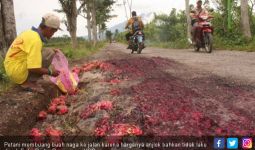Petani Protes, Buang Buah Naga ke Sungai dan Jalan - JPNN.com