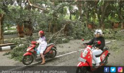 Fyuhhh...Ibu dan Anak Nyaris Tertimpa Pohon Tumbang - JPNN.com