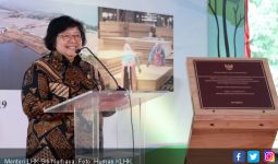 Hutan Sosial Dukung Kebangkitan Industri Kayu - JPNN.com