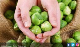 Jaga Kesehatan Ginjal dengan Mengonsumsi 4 Sayuran Sehat Ini - JPNN.com