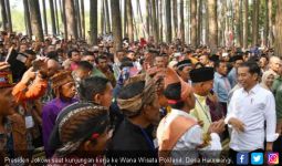 Jokowi: Satu Kepala Keluarga Dapat 1,5 Hektare - JPNN.com