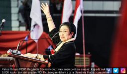 Megawati: Kenapa Rakyat Ditakut-takuti Jangan Pilih Jokowi? - JPNN.com