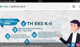 105 Pelamar PPPK Salah Pilih Instansi, BKN: Otomatis Gugur - JPNN.com