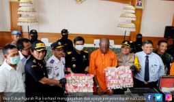 Bea Cukai Ngurah Rai Gagalkan penyelundupan Narkoba Senilai Rp 1,6 M - JPNN.com