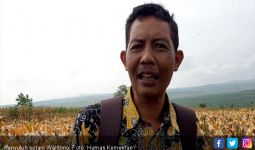 Petani Tuban Tolak Impor Jagung - JPNN.com