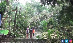 Puting Beliung dan Angin Kencang 30 Menit, Puluhan Rumah Rusak - JPNN.com