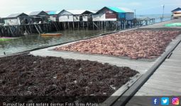 Hamdalah, Ekspor Rumput Laut Indonesia Meningkat di Kala Pandemi - JPNN.com