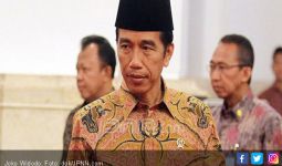 Jokowi Bantah Pertemuan Rahasia dengan Bos Freeport - JPNN.com