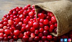 Kaya Antioksidan, Manfaat Cranberries untuk Kesehatan - JPNN.com